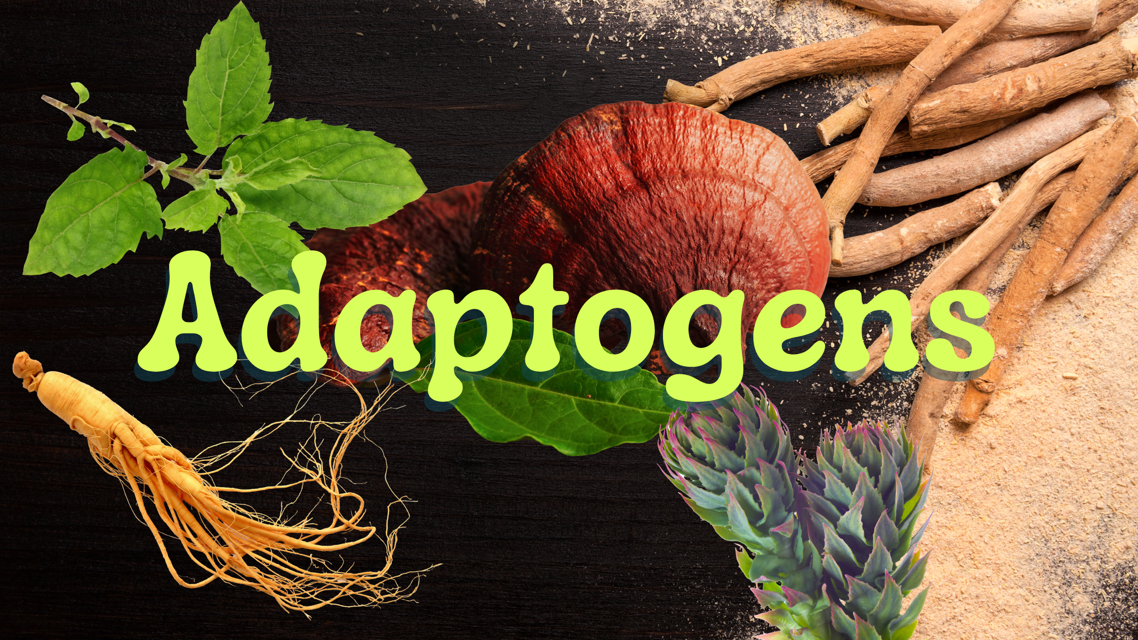 The Power of Adaptogens in Functional Beverages